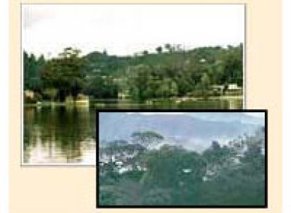 10 Days Munnar Honeymoon Tour