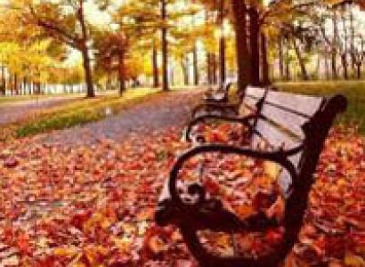 Exotic South India Tour