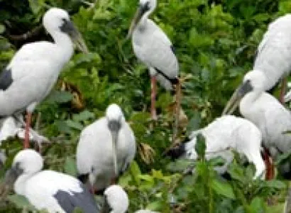 Rajasthan Wildlife With Forts