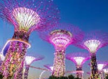 Exclusive Singapore Tour