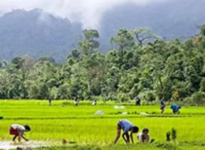 South Indian Circuit - 2