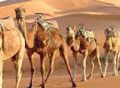 Charming Rajasthan Tour