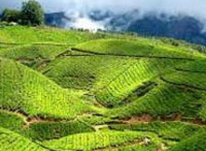 Best Of South India Tour