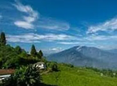 Sikkim Rhododendron Trek Tour