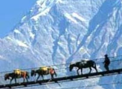 Amorous Dale Package