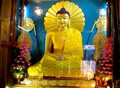 Lord Buddha Parikrima Tours