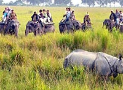 Wildlife Tour with Beaches Tour