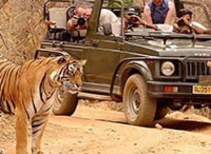 Wildlife Sub Continental Tour