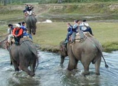 Central India Wildlife Tour