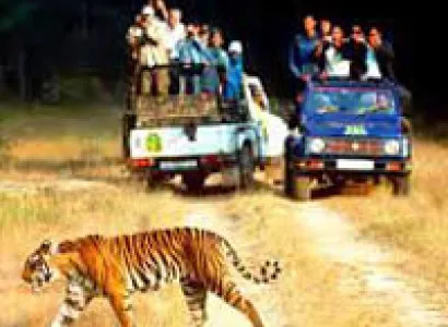 Rajasthan Wildlife Tour
