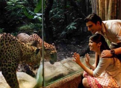 Singapore and Malaysia Tour from Chennai