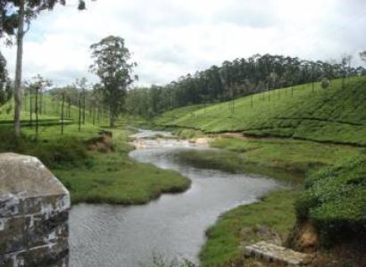Nelliyampathy, Pollachi, Top Slip, Valparai Tour