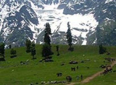 Glimpses of Kashmir