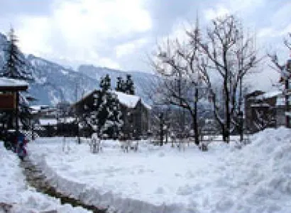 Spl. Himachal Honeymoon Tours