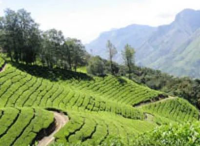 India - Kerala Honeymoon Tours 