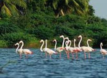 Hill station & Backwater Honeymoon Holidays - GK 003 - A Tour