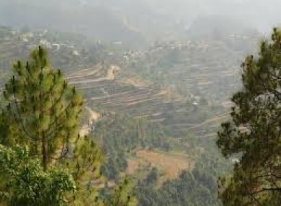 Wonders Of Kumaon 6 Nights / 7 Days