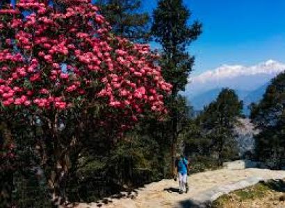 On Shiva's Trail 6 Nights / 7 Day Tour