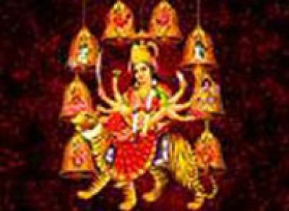 Daily Sight Seeing Trip