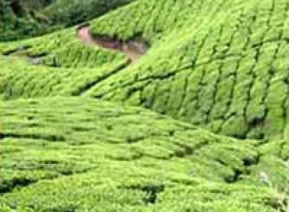 Monsoons Sights & Cloud Atlas Tour