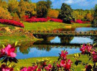 Scenic Kashmir Package