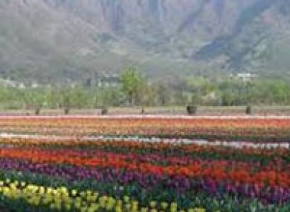 Kashmir - E - Kashmir Package