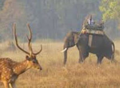 Cities of Madhya Pradesh Tour