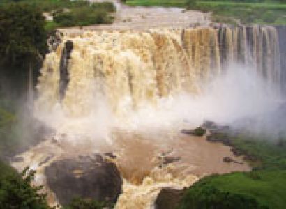 Wildlife Safari Tour