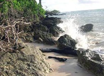 Best Bara Tang Island Tour