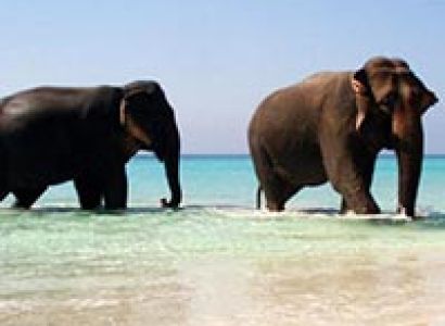 Andaman Exotica Honeymoon Tour Package