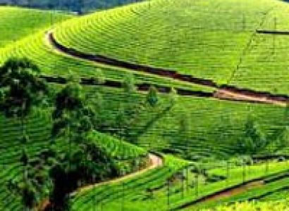 Kerala Holiday Package