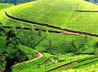 Kerala Honeymoon Package