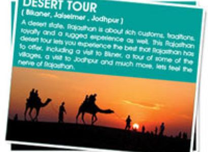 Desert Tour