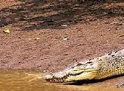 Exotic Tour of Odisha