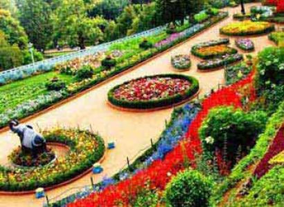 Bangalore Mysore Ooty Tour