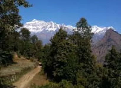 The Guerilla Trek Tour