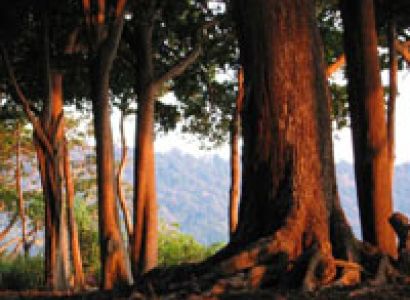 Andaman Holidays Tour