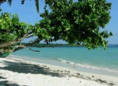 Fun Filled Havelock Tour