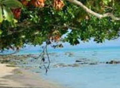 The Great Escape Tour