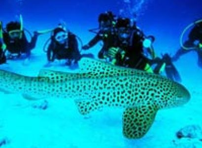 Now thats Andaman Tour