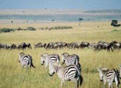 7 Days/6 Nights Tour