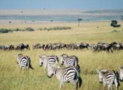 3-Day Mara Getaway Tour