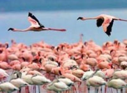 7-Day Scenic Kenya Road Safari Tour