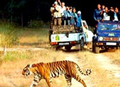 Jim Corbett 2 Nights and 3 days