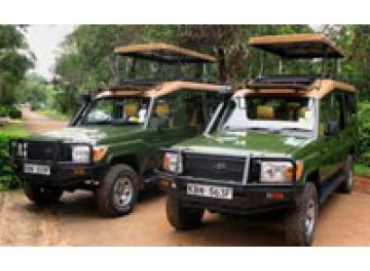 Best Of East Africa Wildlife Safari