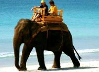 Special Honeymoon Package