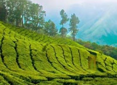 Romantic Kerala Tour