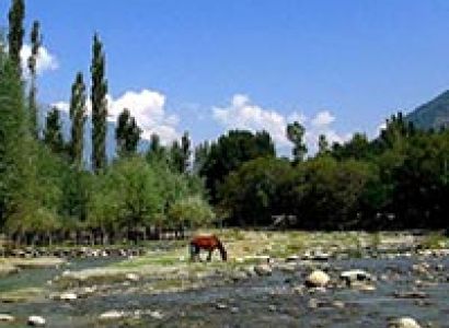 Kashmir Tour Program 07 Nights / 08 Days