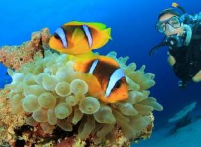 5 Night / 06 Days Tour