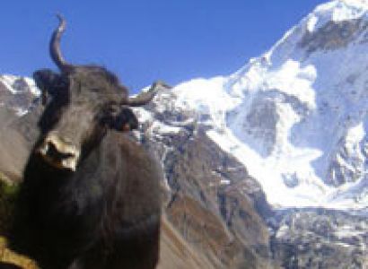 Trekking in Tsum Valley Package